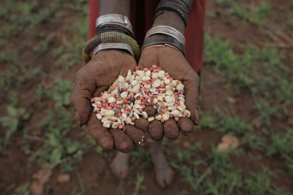 Food Sovereignty